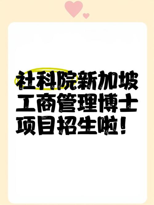 新加坡新科招聘，有哪些岗位要求？-图3