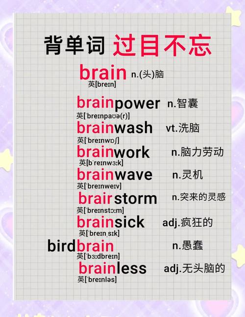 记单词有啥高效又轻松的好方法？-图3