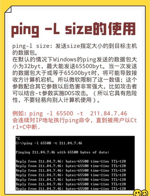 如何快速查看自己电脑的IP地址？-图3