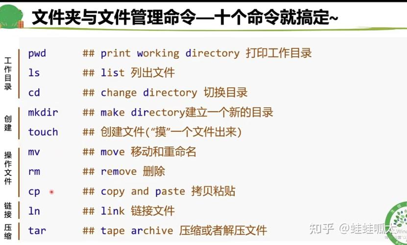 登录服务器命令有哪些？-图1