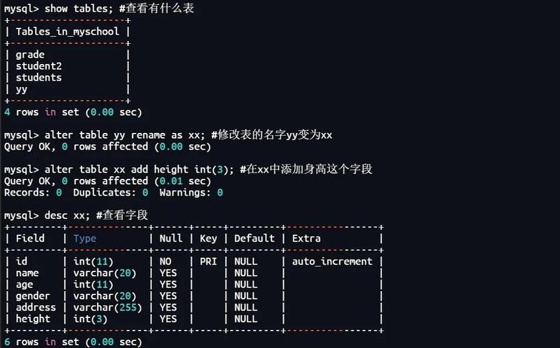 如何导出数据库？命令有哪些？-图2