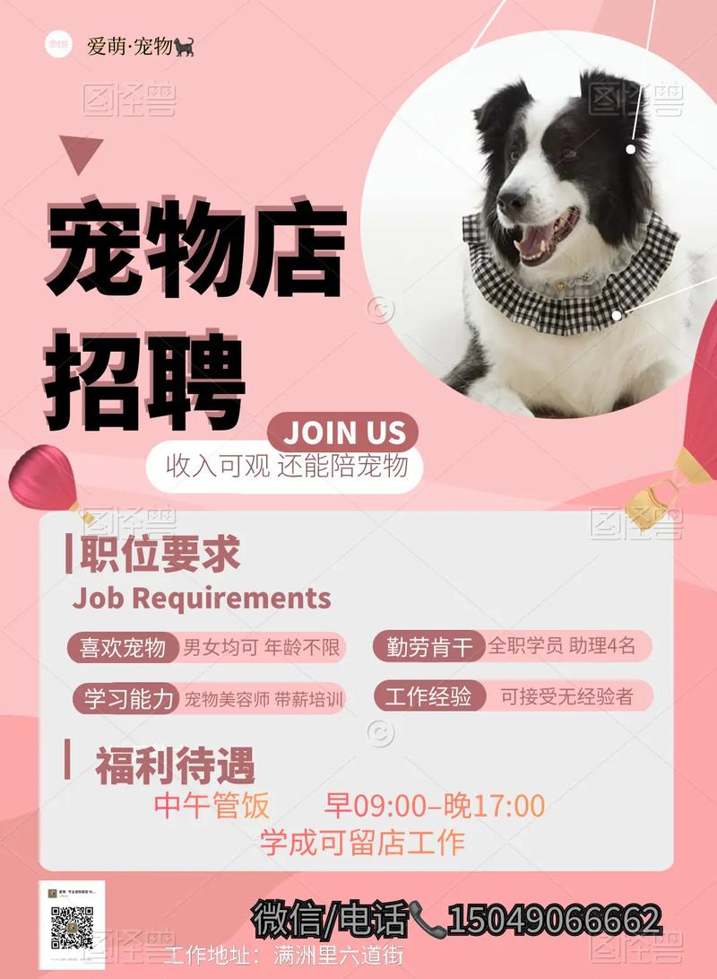 招聘狗使用技巧有哪些？-图2