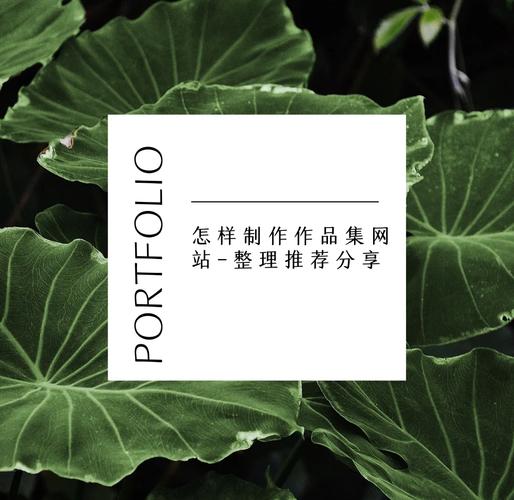 长网页作品集如何高效制作与展示？-图2