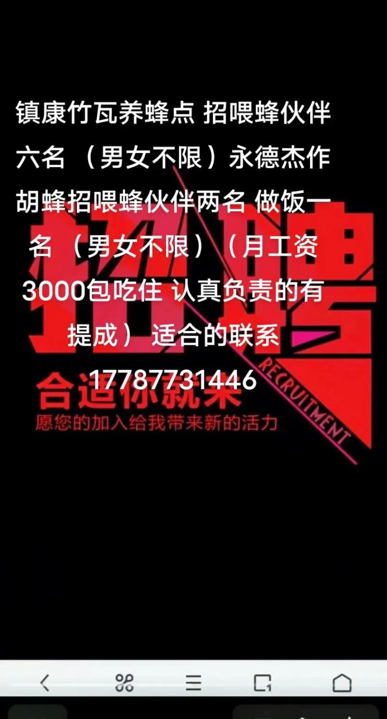 蜂鸟娱乐招聘，有何具体岗位要求？-图2