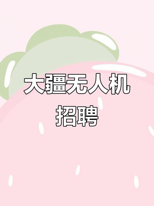 DJI测评招聘，是测评岗还是招测评师？-图2