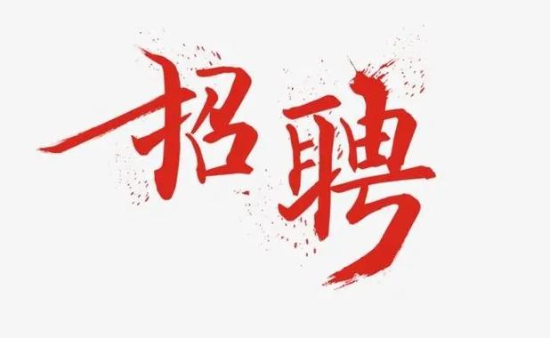 Vina招聘有何具体岗位和要求？-图2