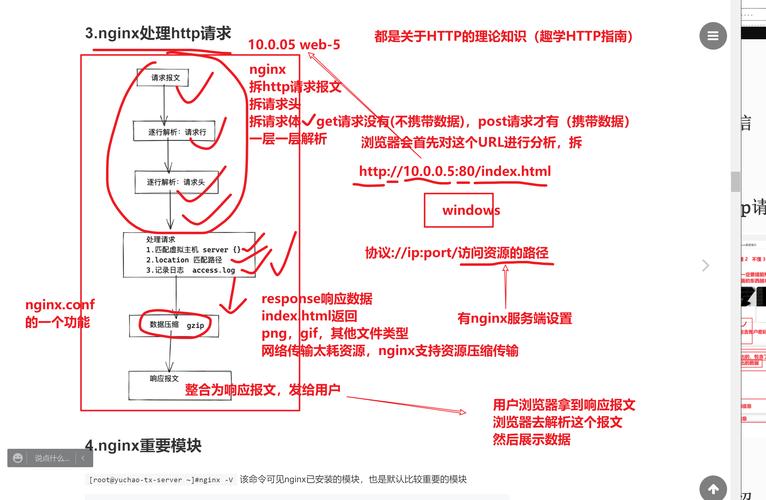 命令行如何重启nginx？-图3