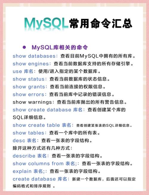 MySQL命令如何高效管理数据库？-图1