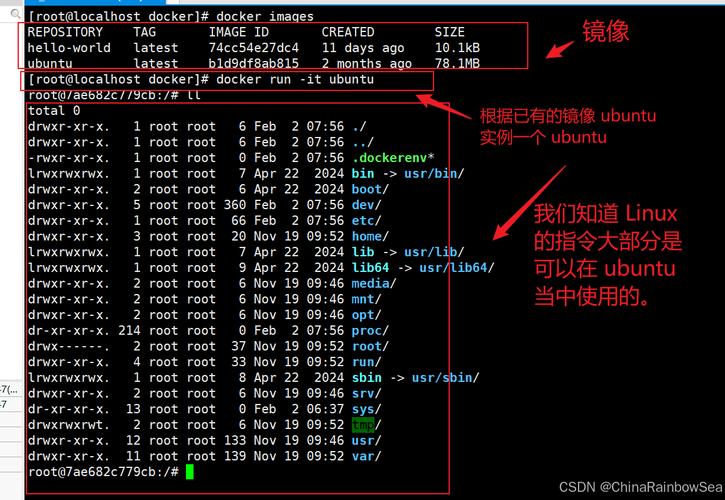 Docker容器内命令调用为何受限？-图1