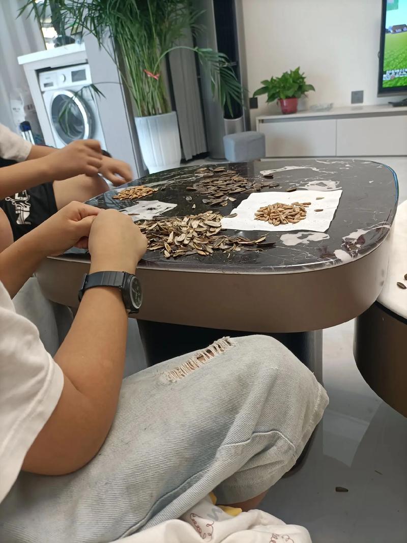 温州瓜子招聘有何特别之处？-图2