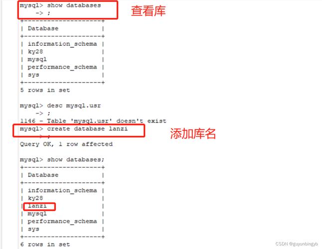 数据库命令有哪些？-图3