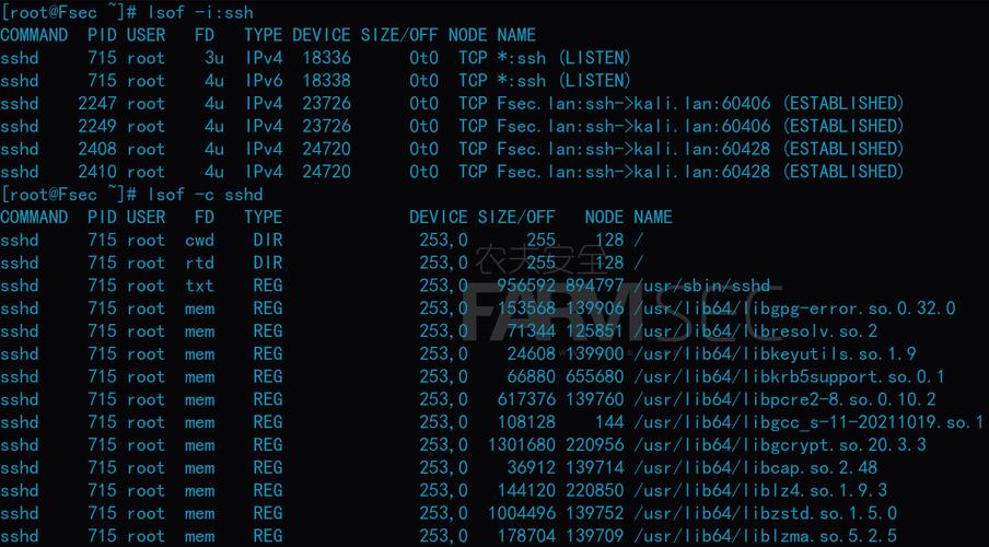 Linux命令行基础该从何学起？-图2