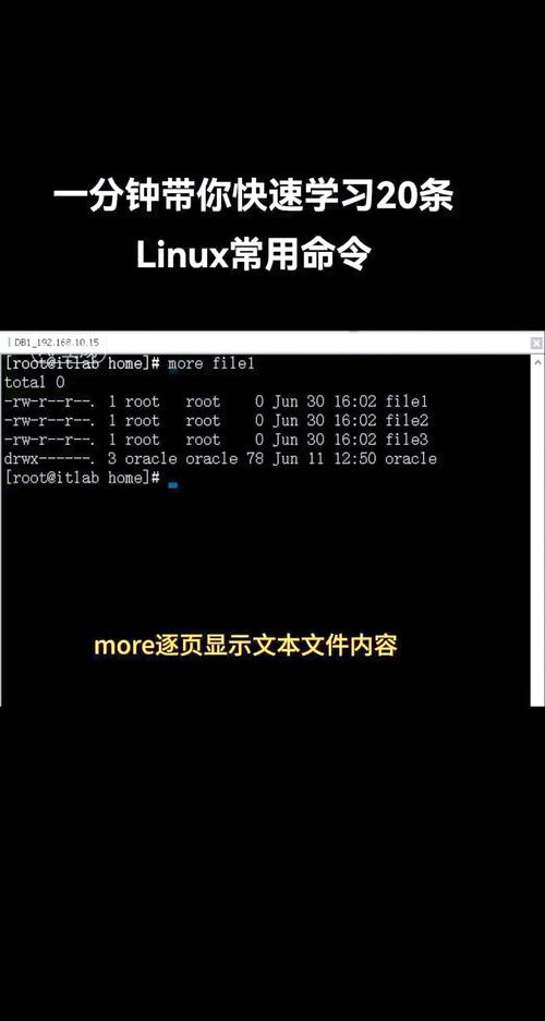 Linux显示命令行，有哪些常用命令？-图2
