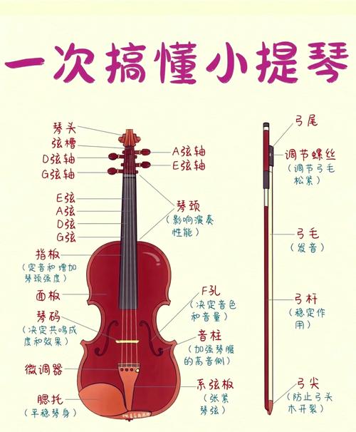 小提琴如何奏出不同音高？-图2