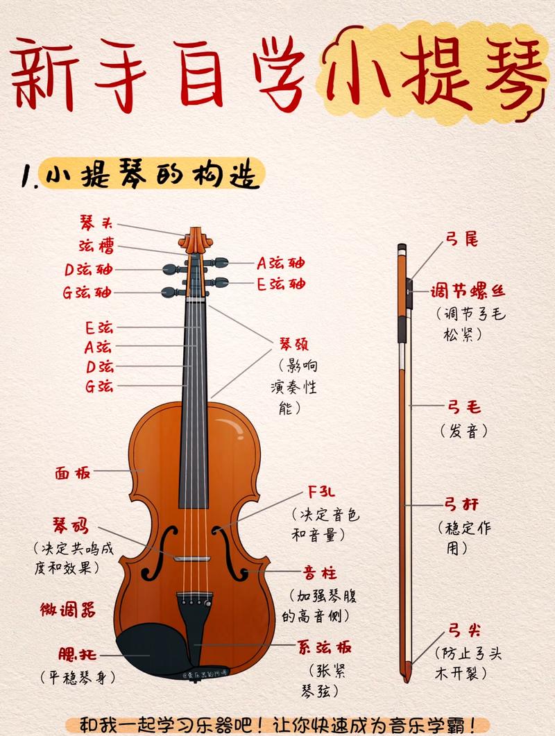 小提琴如何奏出不同音高？-图1