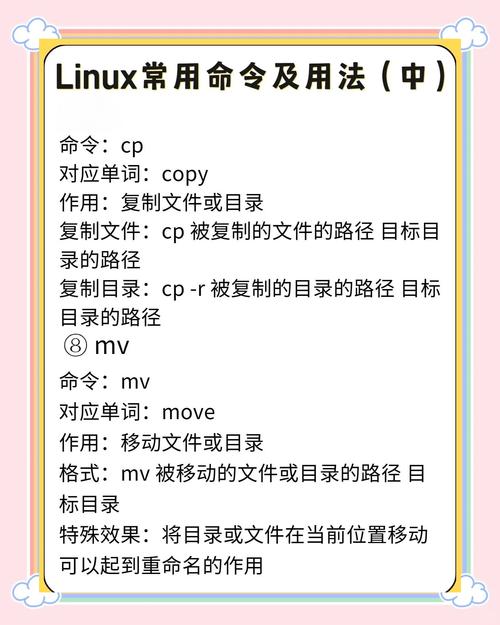 WinSCP命令如何使用？-图1