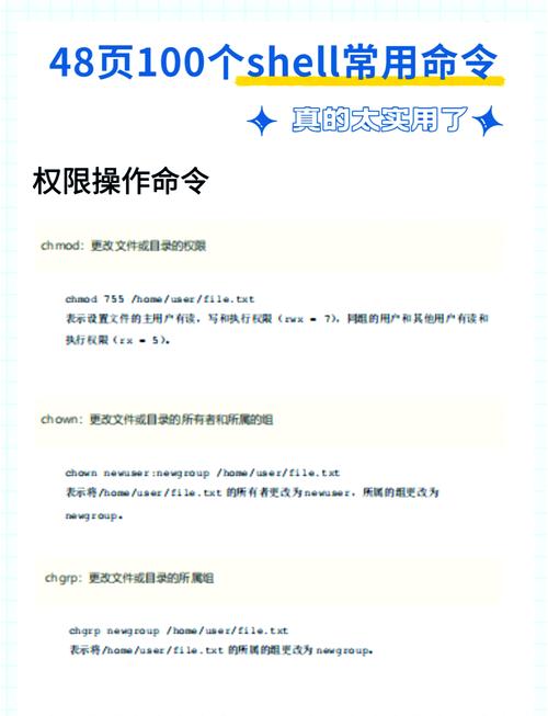 shell命令存储在Linux系统的哪个位置？-图3