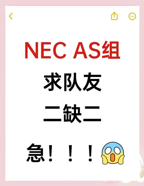 重庆nec招聘有哪些岗位要求？-图3