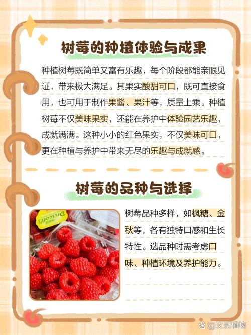 树莓企业招聘，哪些岗位在招？-图2