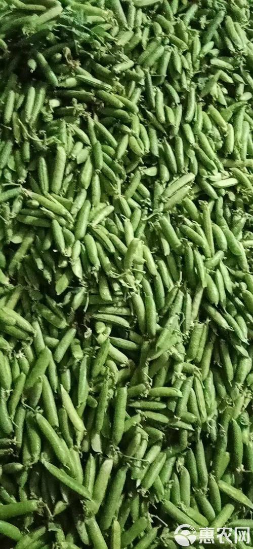 豌豆莢招聘靠谱吗？岗位待遇如何？-图3