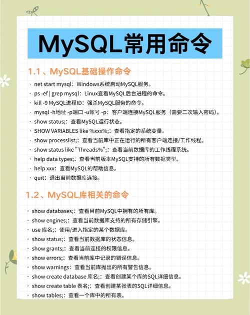 MySQL启动命令bin在哪里?-图1 MySQL启动命令bin在哪里?-图1