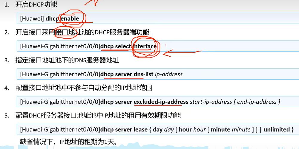 配置DHCP命令有哪些关键步骤？-图1