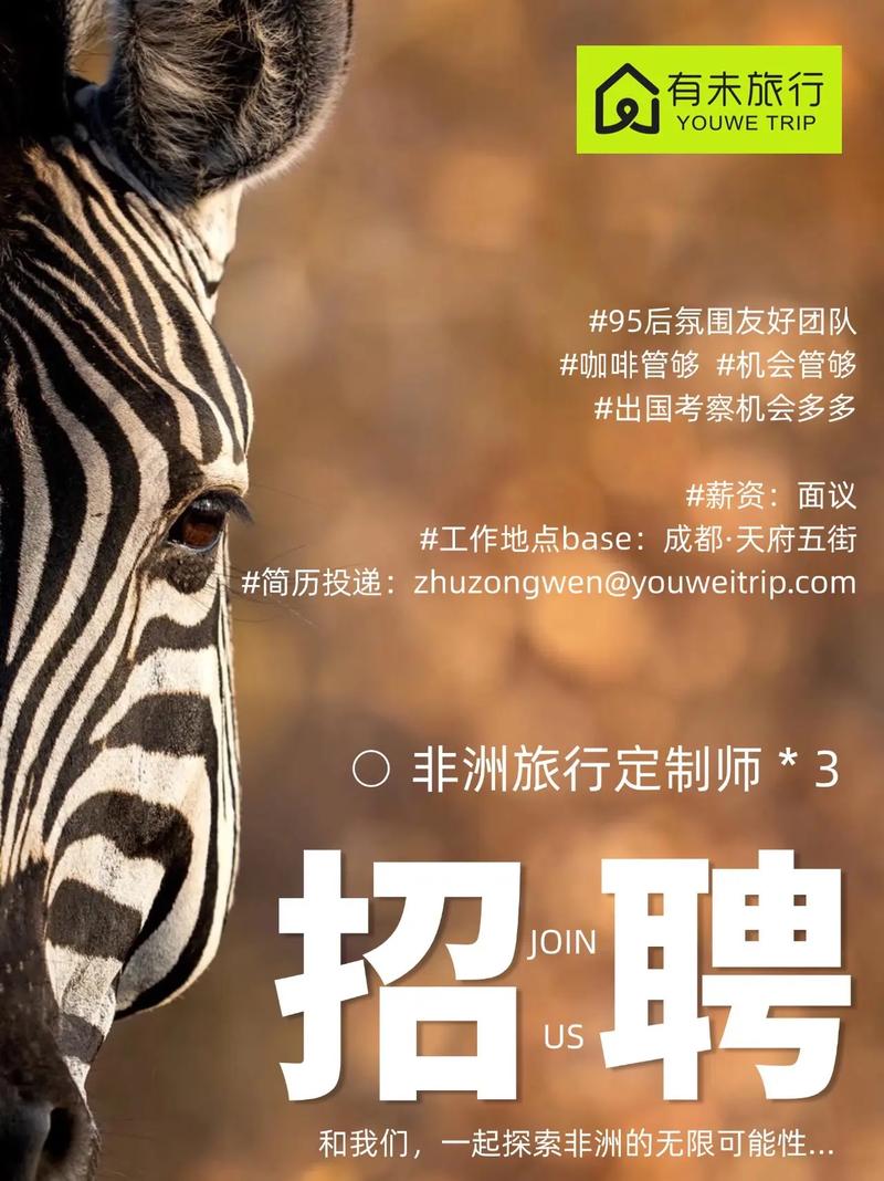成都DSP招聘，薪资多少？-图1