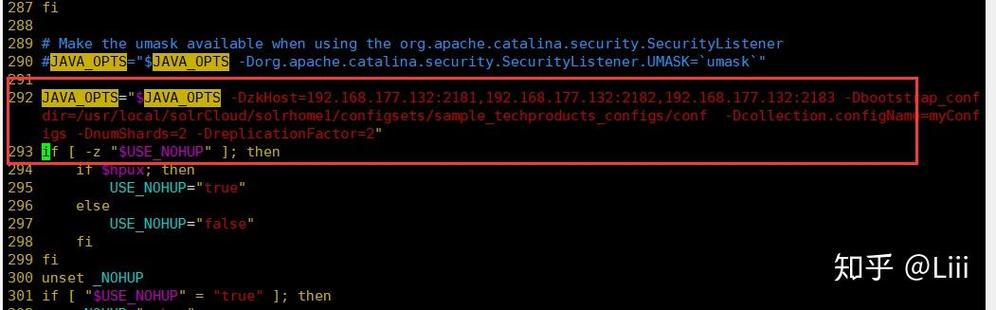 Solr集群启动命令具体参数如何配置？-图3