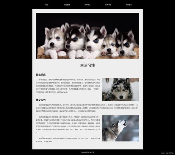 如何快速搭建一个展示网站？-图1