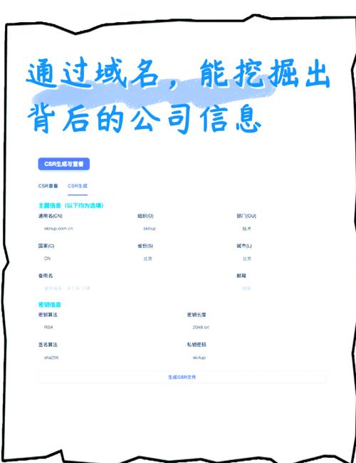 如何查域名历史？有何关键方法？-图3