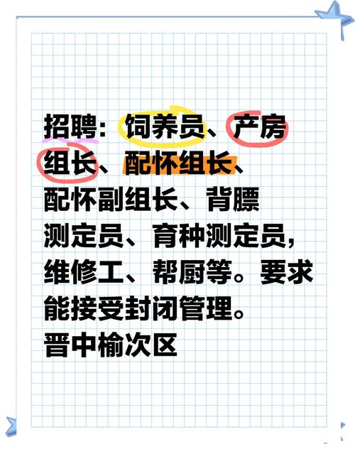 丁磊猪场为何突然招聘？-图1