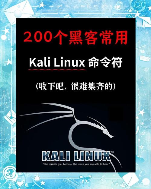 kali命令行有哪些实用必备命令？-图1