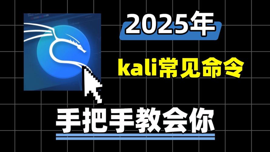kali命令行有哪些实用必备命令？-图2