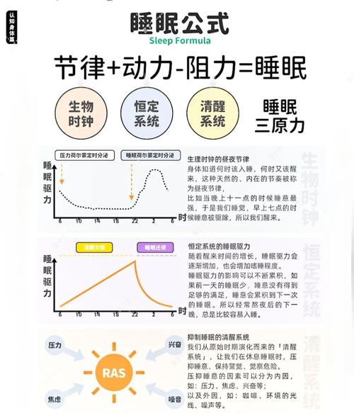 设计师如何通过合理睡眠提升设计效率？-图1
