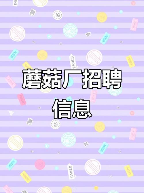 种蘑菇招聘，招什么人？怎么招？-图1