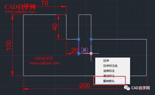 CAD标注箭头命令怎么用？-图2