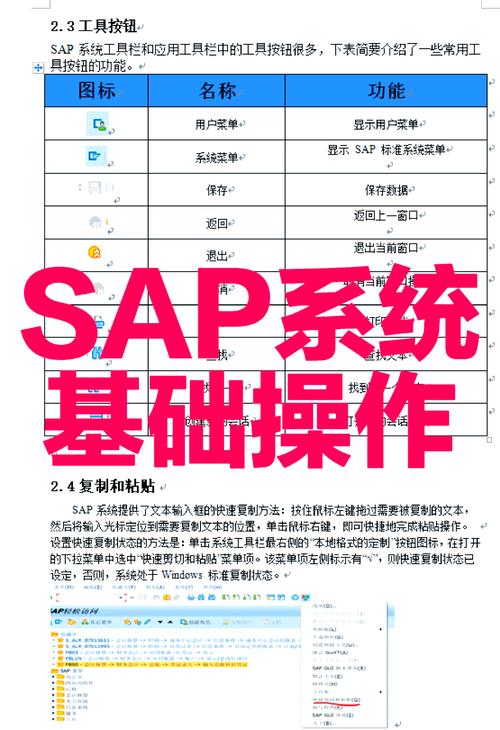 SAP命令行有哪些常用操作技巧？-图3