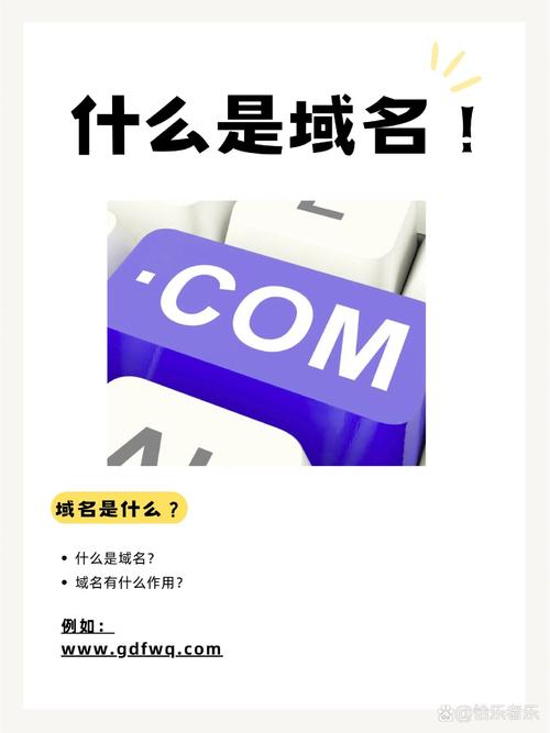 百度如何让域名快速排名？-图1