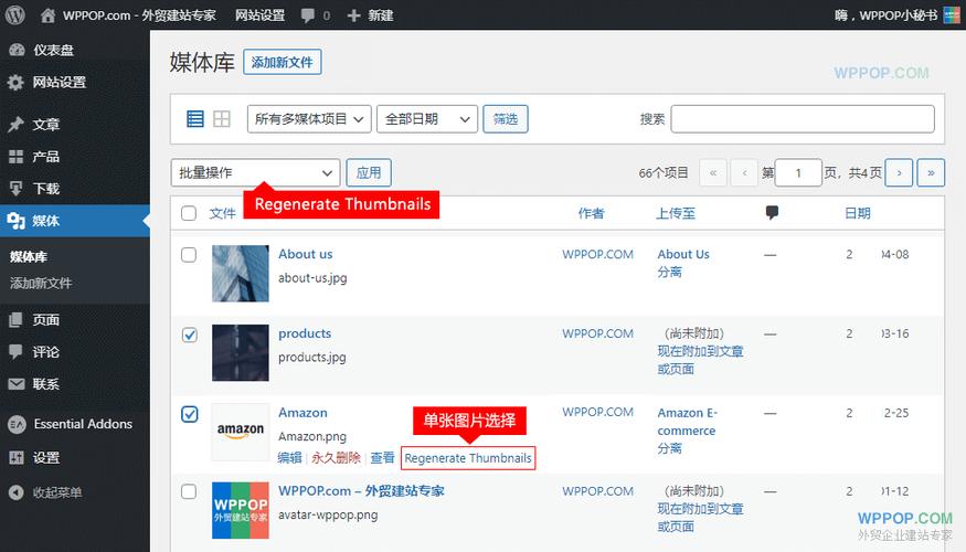 WordPress如何添加自定义栏目？-图3