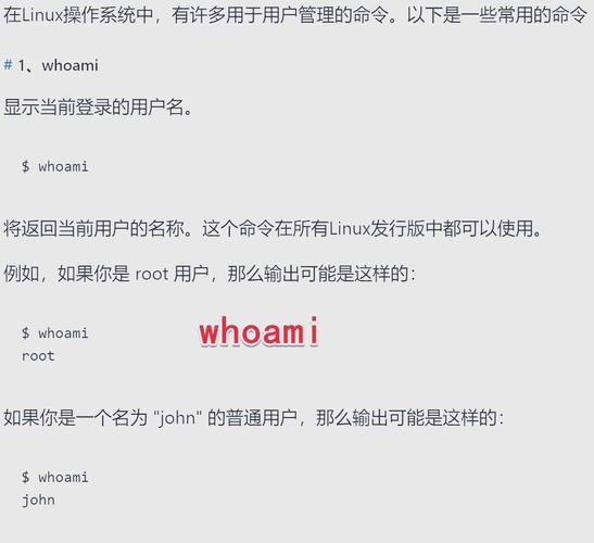 aix如何用命令增加用户？-图3
