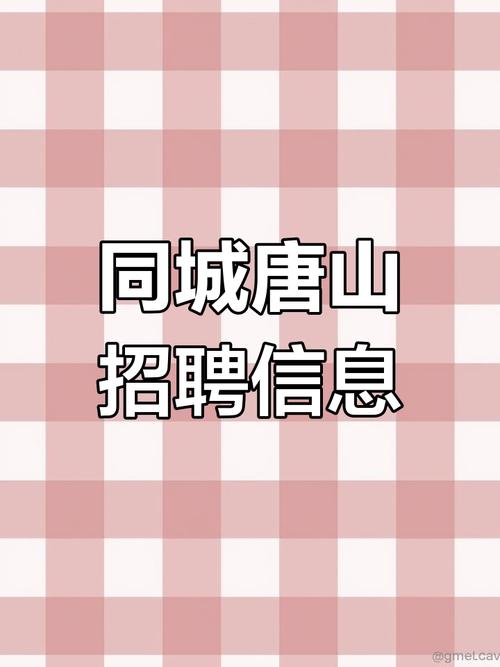 唐山Zora招聘什么岗位？-图2