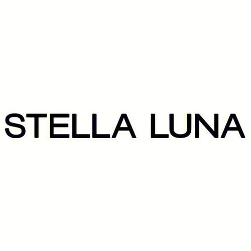 Stelle Luna招什么样的人？-图1