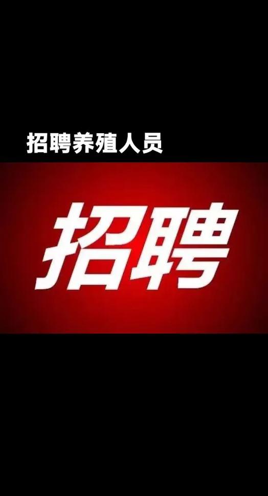 人肉专家是招聘新噱头还是违规操作？-图1