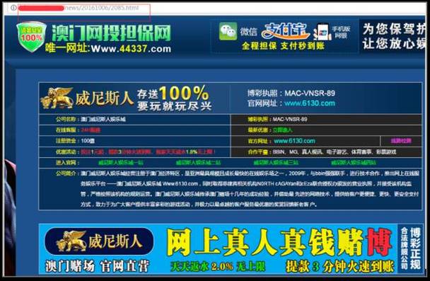 网站被挂黑链，如何快速举报处理？-图1