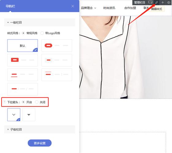 网站如何添加子栏目？-图2