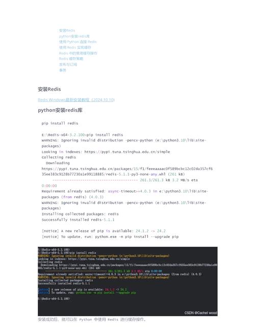 Redis清空命令有哪些？-图2