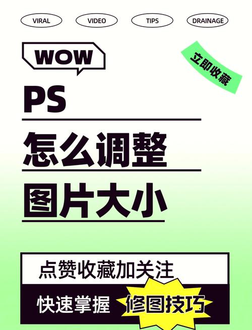 PS图片放大缩小快捷键是什么？-图2