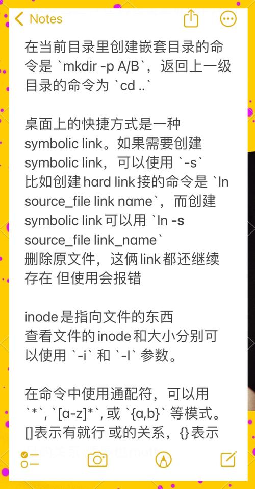 常见shell命令有哪些？-图1