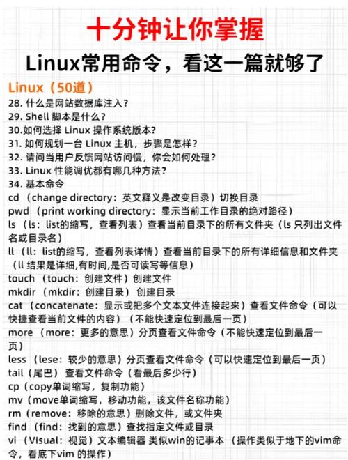 Juniper详细命令有哪些核心功能与使用场景？-图3