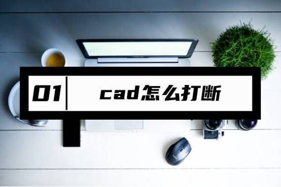 CAD命令怎么用？-图3